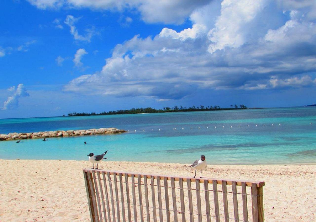 Ferienwohnung The Oasis Retreat Nassau Exterior foto
